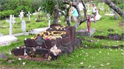 Hiva Oa_IMG_1501